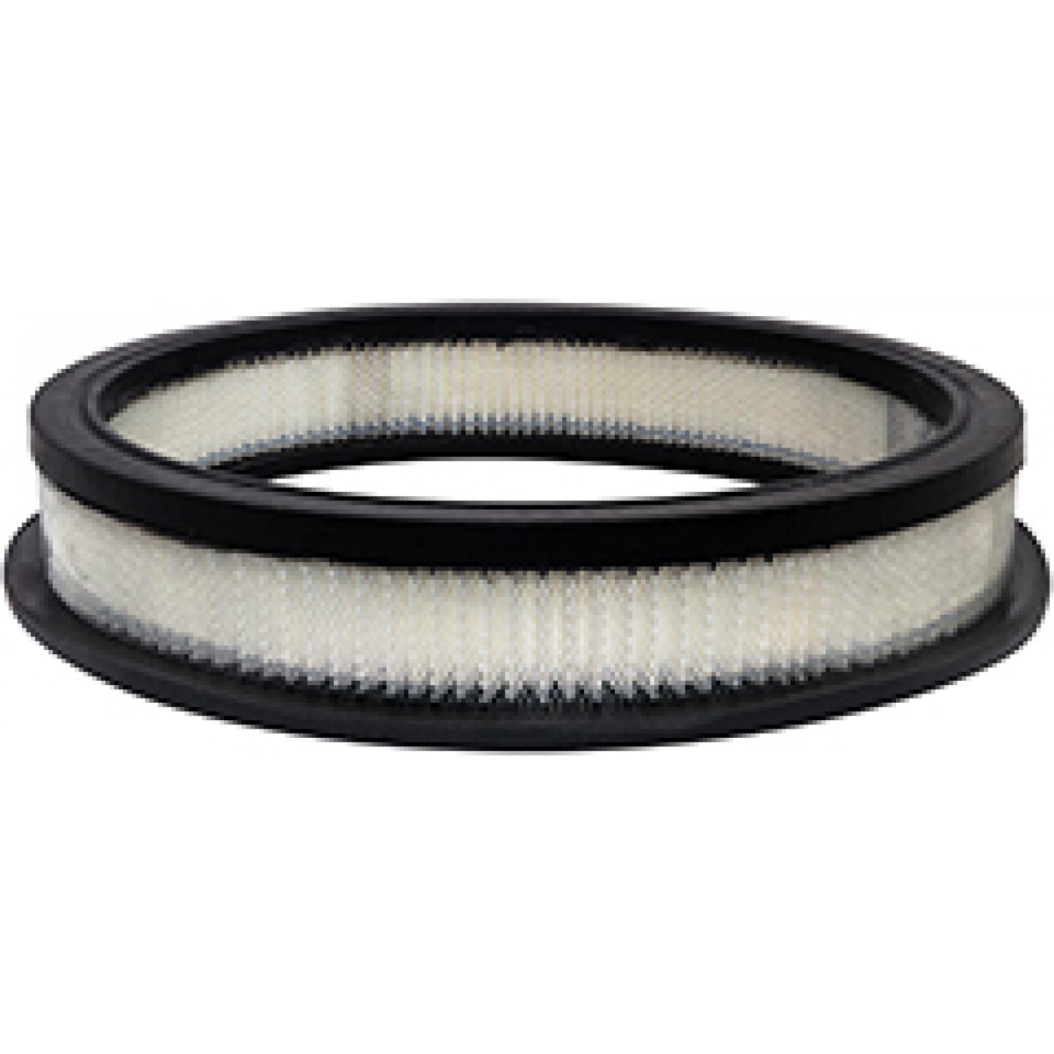 Baldwin PA10355 Air Filter product image 1 of 1