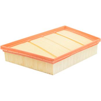 Baldwin PA10392 Air Filter product image 1 of 1
