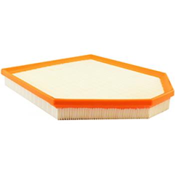 Baldwin PA10393 Air Filter product image 1 of 1