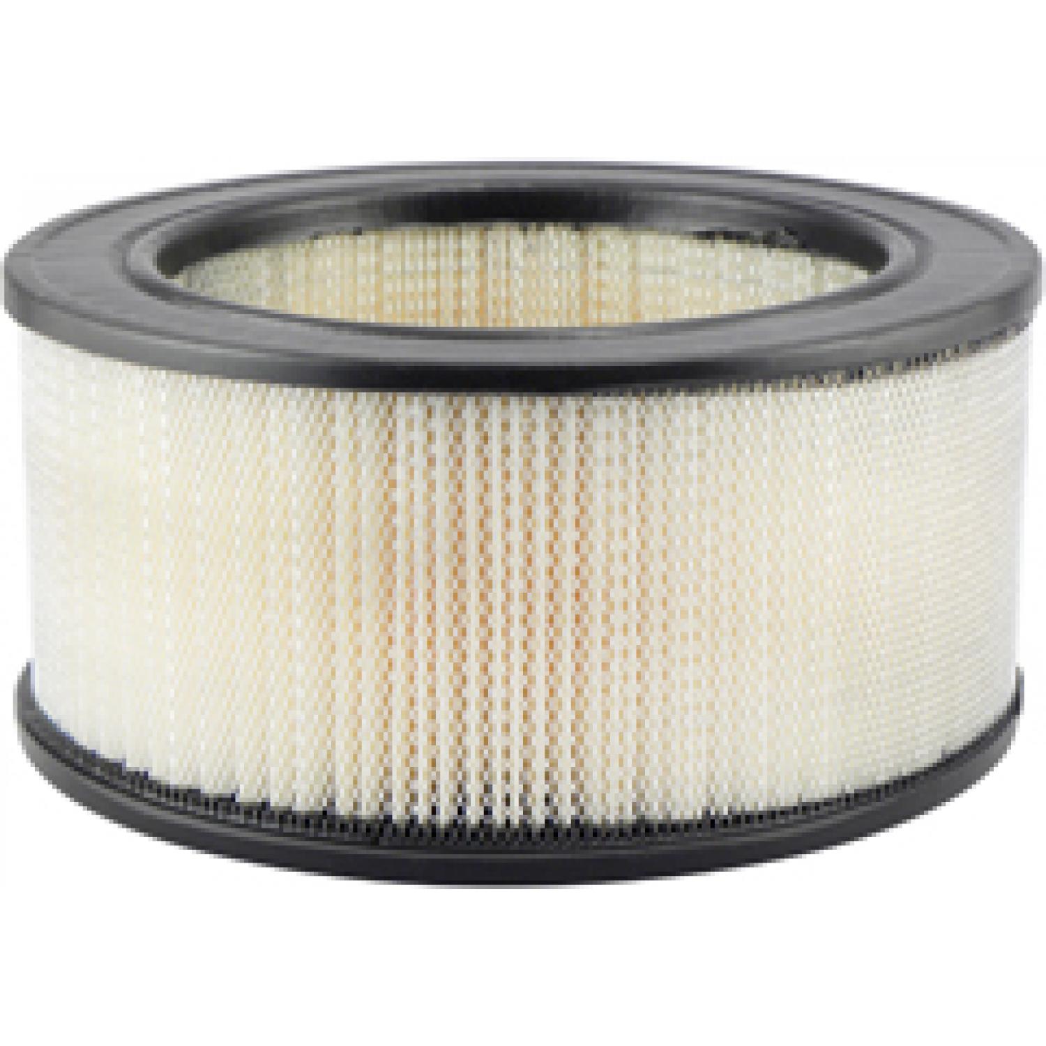Baldwin PA1719 Air Filter product image 1 of 1