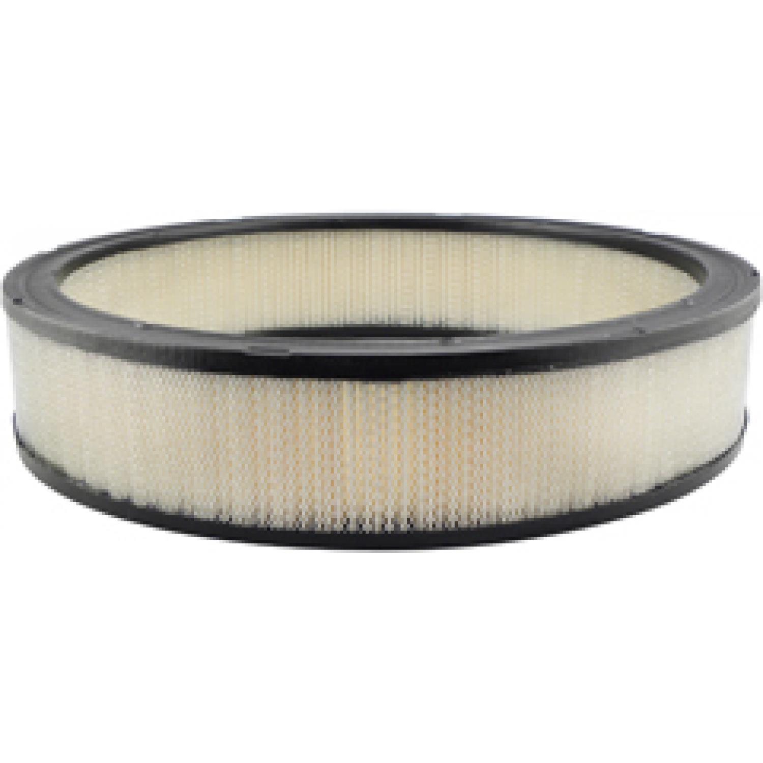 Baldwin PA2002 Air Filter product image 1 of 1