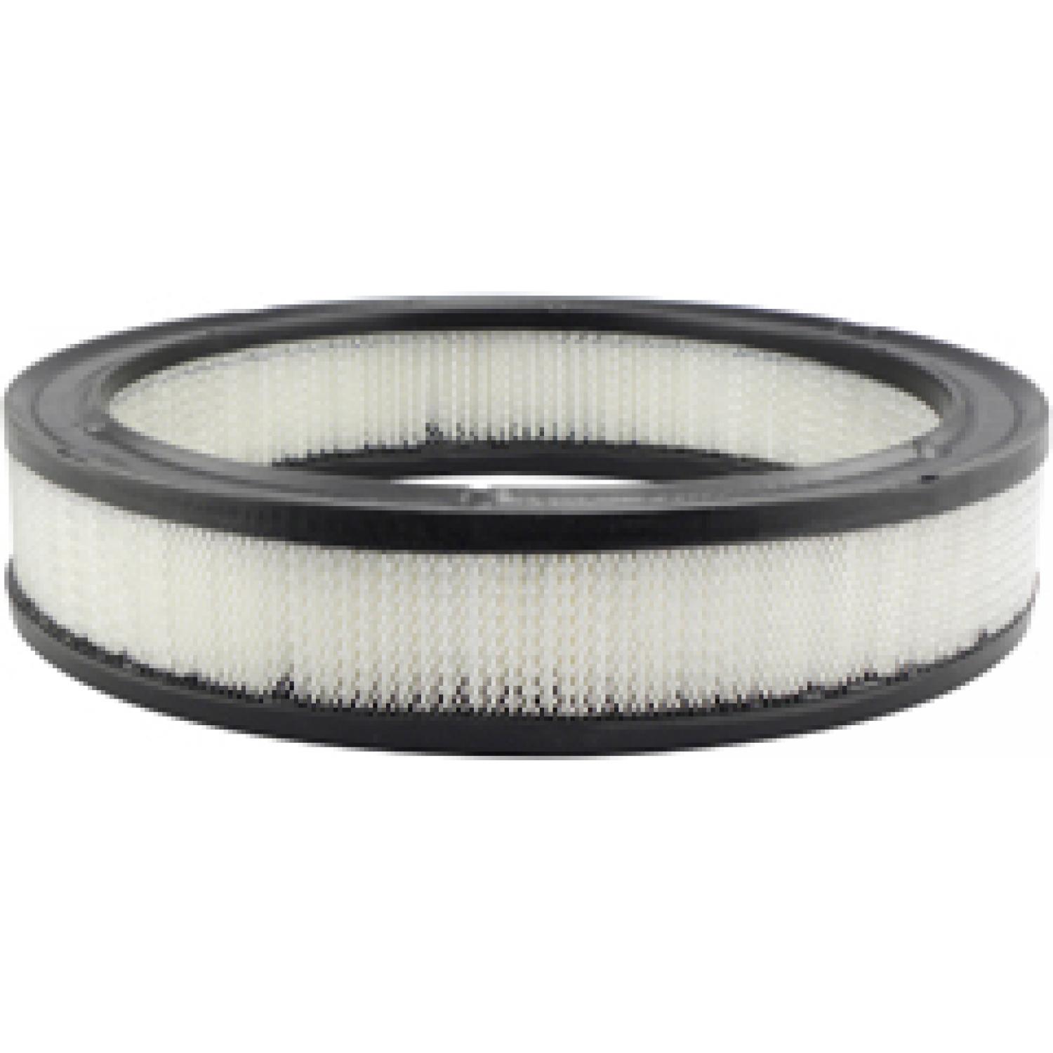Baldwin PA2005 Air Filter product image 1 of 1