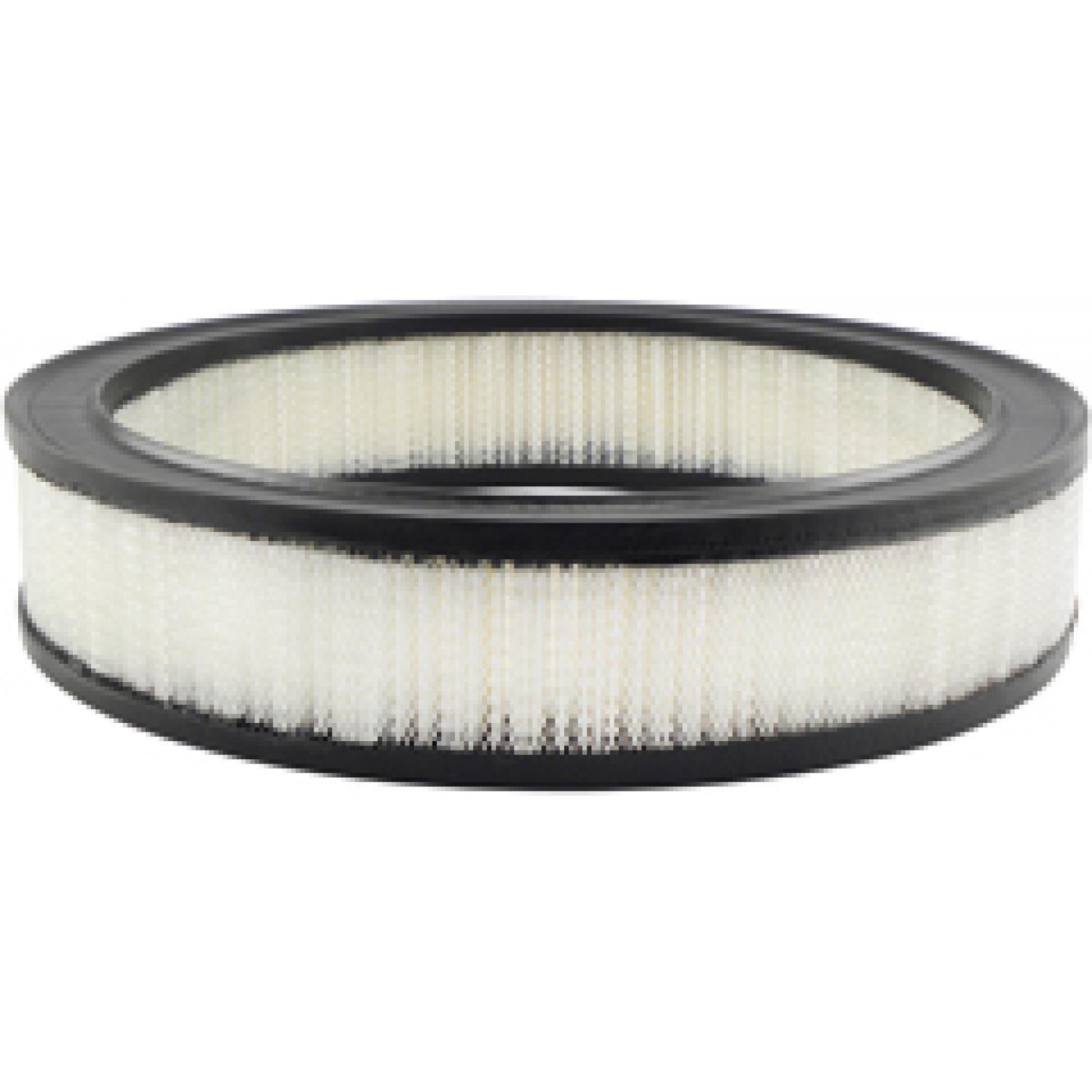 Baldwin PA2006 Air Filter product image 1 of 1