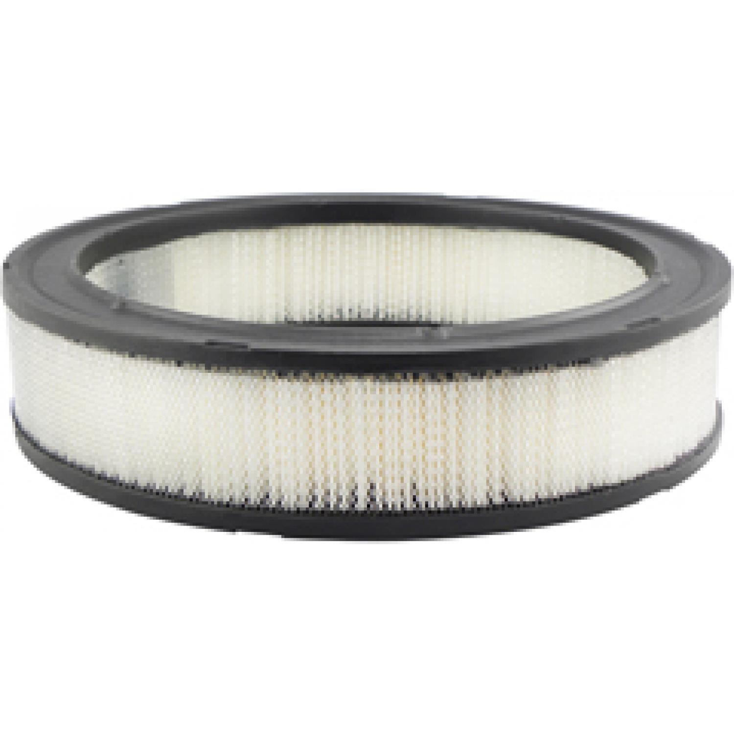 Baldwin PA2007 Air Filter product image 1 of 1
