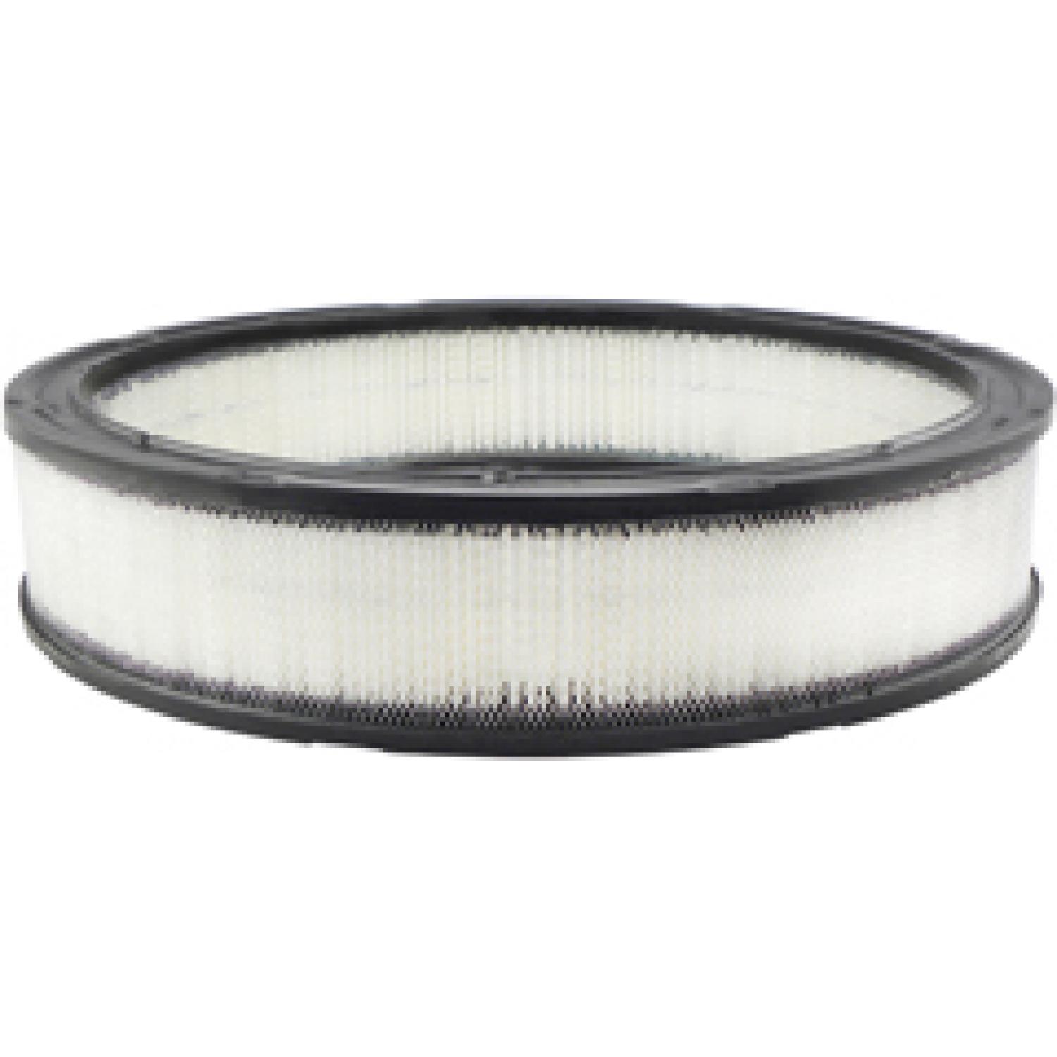 Baldwin PA2010 Air Filter product image 1 of 1