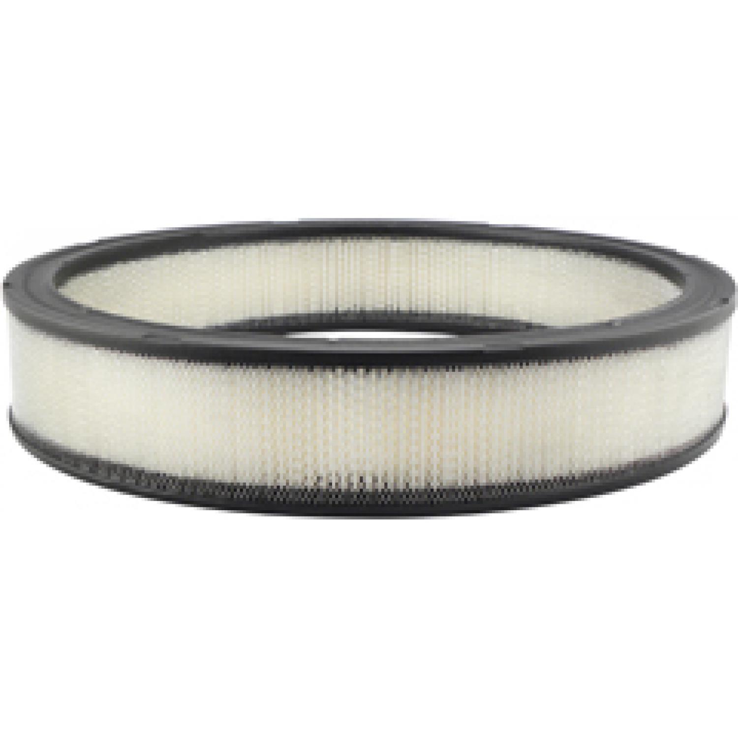 Baldwin PA2024 Air Filter product image 1 of 1