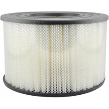 Baldwin PA2042 Air Filter product image 1 of 1