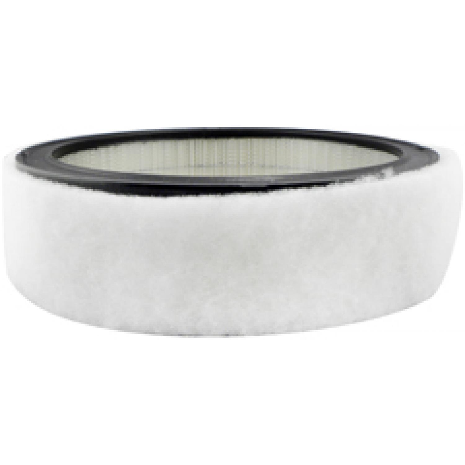 Baldwin PA2073 Air Filter product image 1 of 1