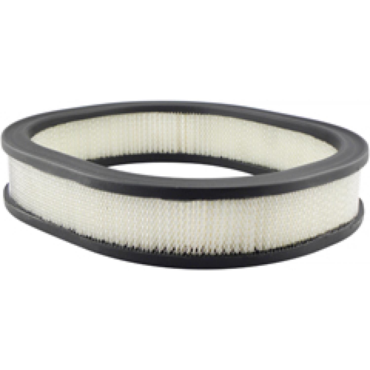Baldwin PA2076 Air Filter product image 1 of 1