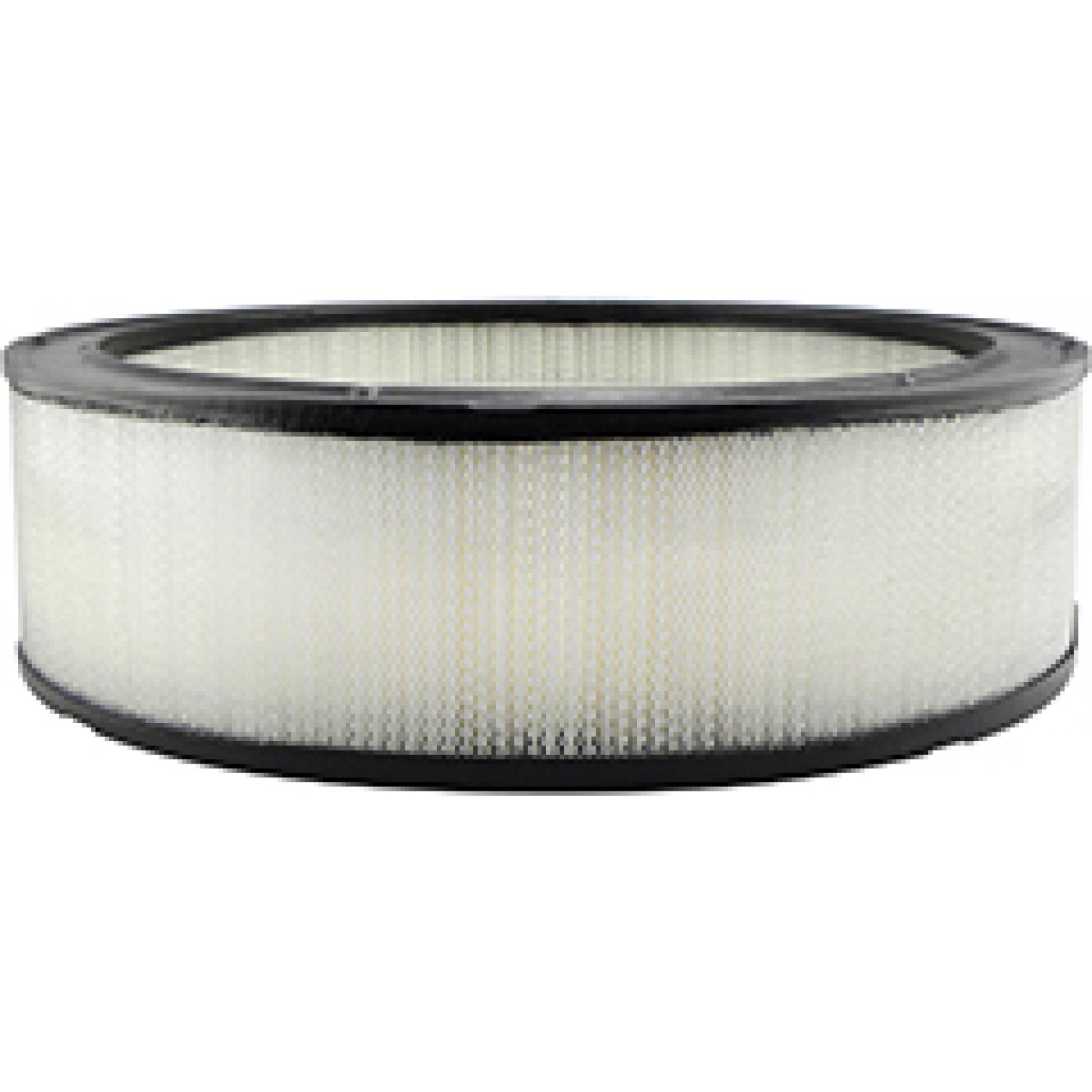 Baldwin PA2079 Air Filter product image 1 of 1