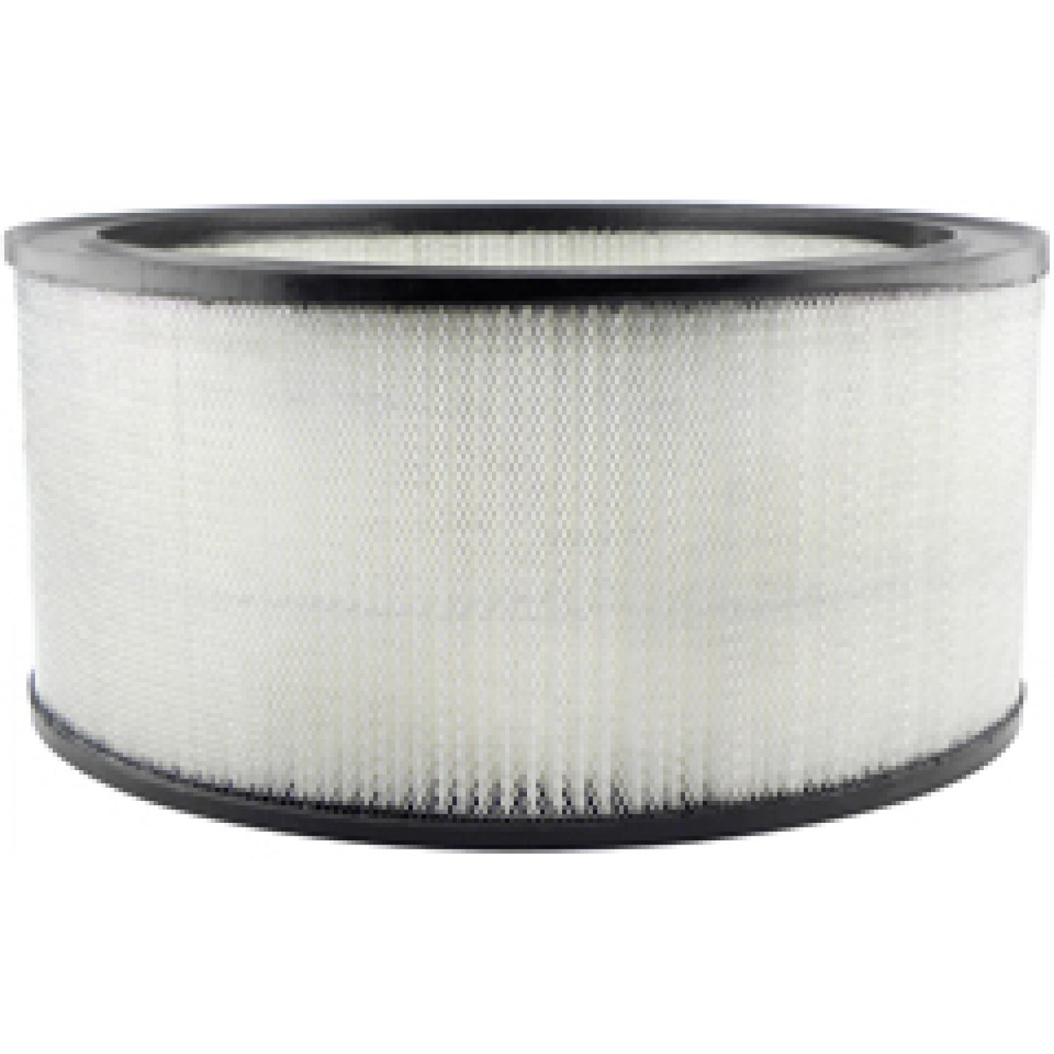 Baldwin PA2091 Air Filter product image 1 of 1