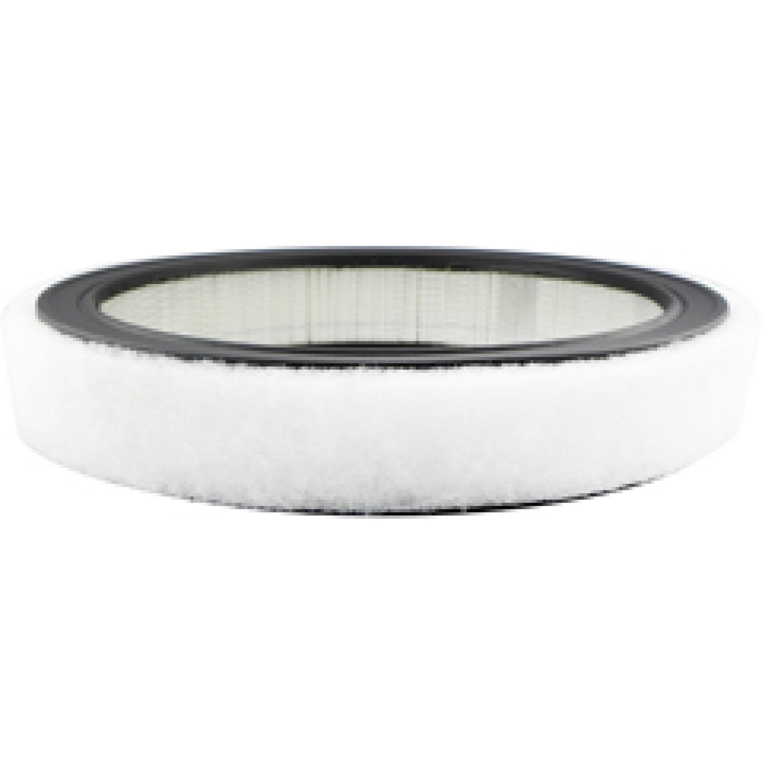 Baldwin PA2110 Air Filter product image 1 of 1