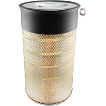 Baldwin PA3892 - Air Filter Baldwin PA3892 Air Filter product image 1 of 1