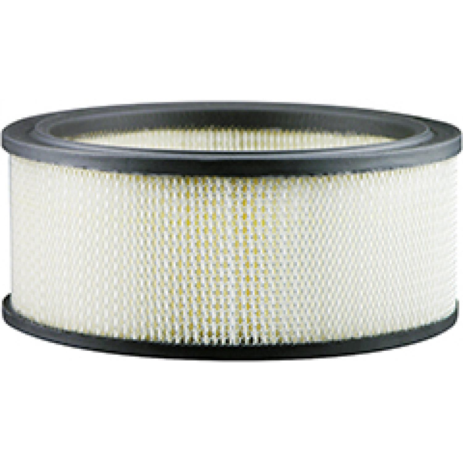Baldwin PA3901 Air Filter product image 1 of 1