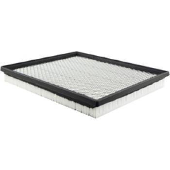 Baldwin PA4046 Air Filter product image 1 of 1