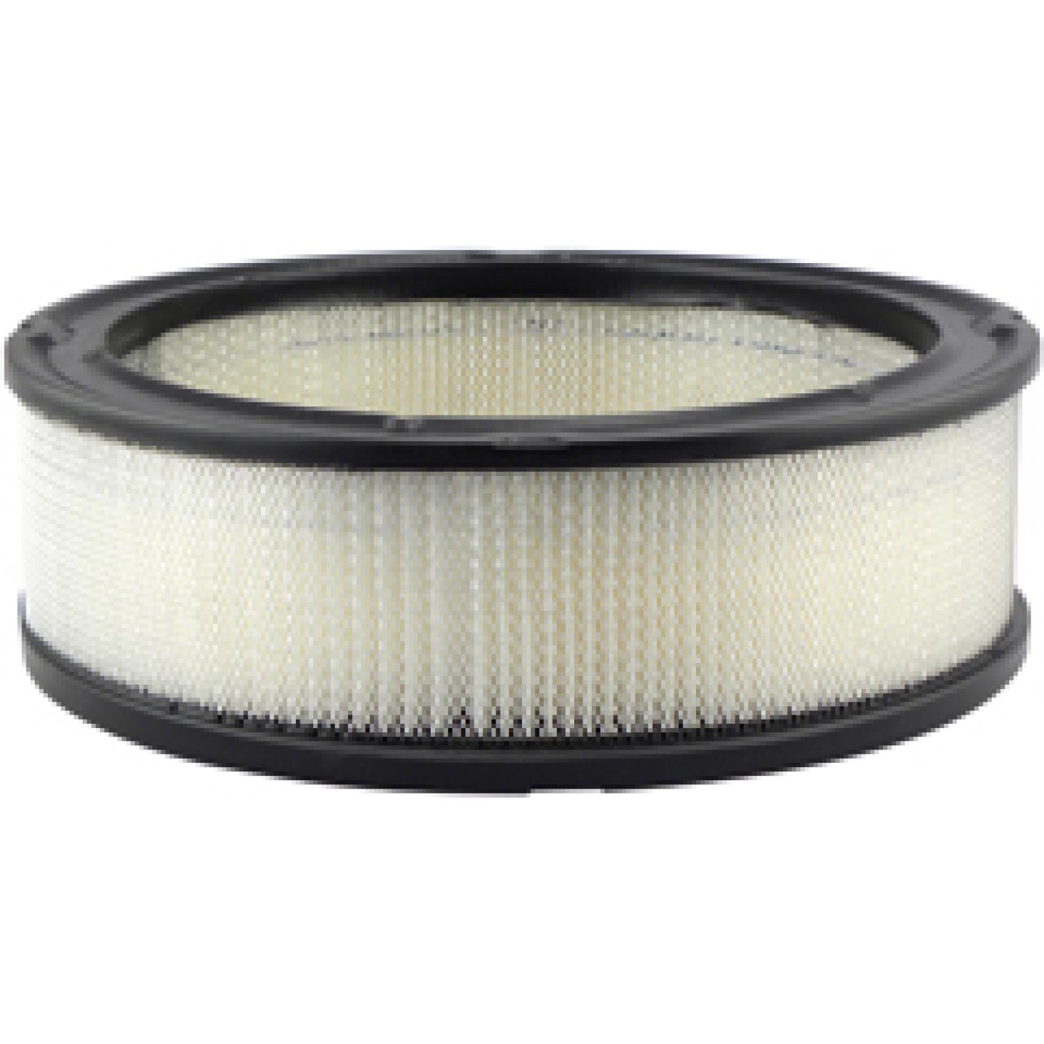 Baldwin PA648 Air Filter product image 1 of 1