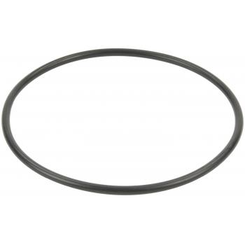 Bosch 68203 - Fuel Pump Tank Seal Bosch 68203 Fuel Pump Tank Seal product image 1 of 5