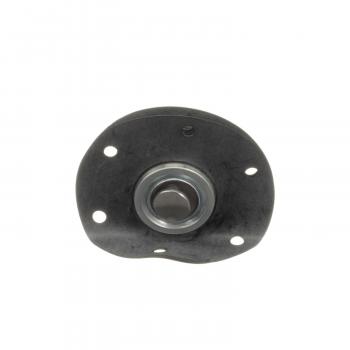 BWD 21720 Fuel Injection Pressure Regulator product image 3 of 6