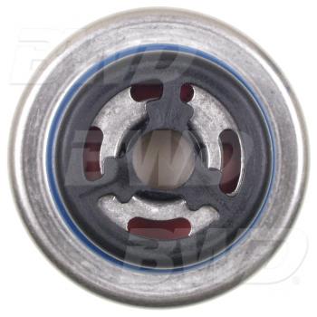 BWD 32517 Fuel Injection Pressure Damper product image 1 of 3
