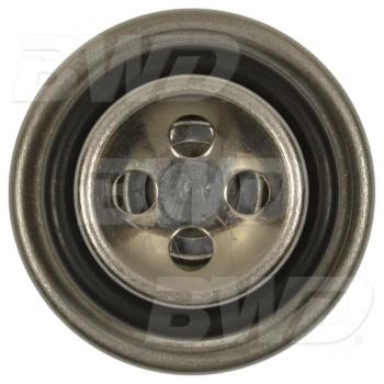 BWD 32555 Fuel Injection Pressure Damper product image 1 of 3