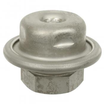 BWD 32571 - Fuel Injection Pressure Damper BWD 32571 Fuel Injection Pressure Damper product image 2 of 3