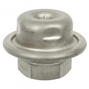 BWD 32572 Fuel Injection Pressure Damper product image 2 of 3