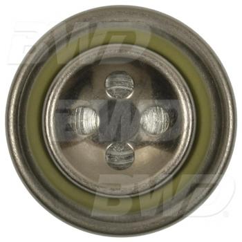 BWD 32582 Fuel Injection Pressure Damper product image 1 of 3