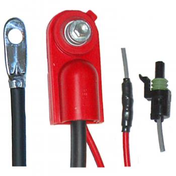 BWD BC46DF - Battery Cable BWD BC46DF Battery Cable product image 1 of 3