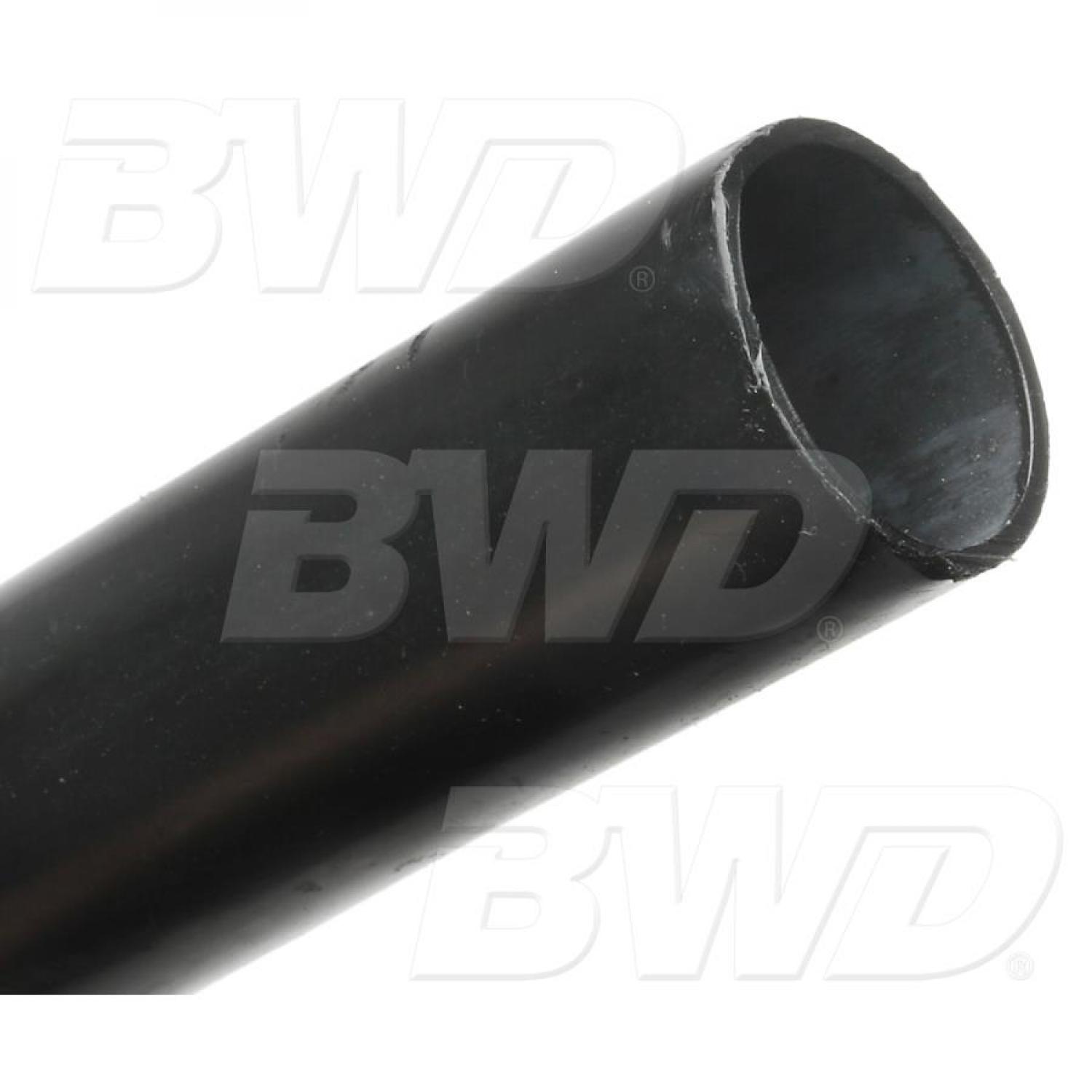 BWD CPV18 Vapor Canister Vent Solenoid product image 2 of 4