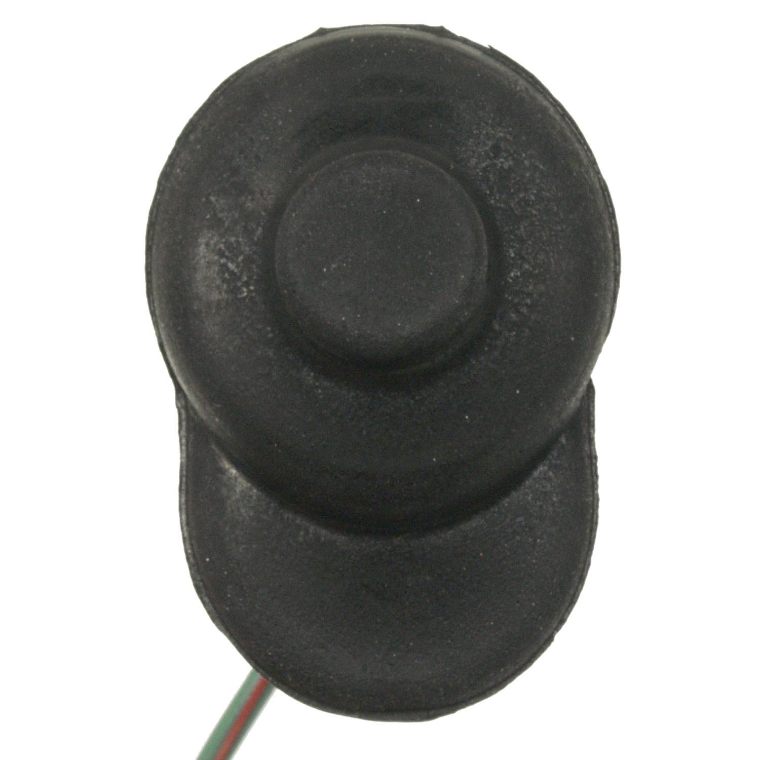 BWD DJS125 - Door Jamb Switch BWD DJS125 Door Jamb Switch product image 1 of 3