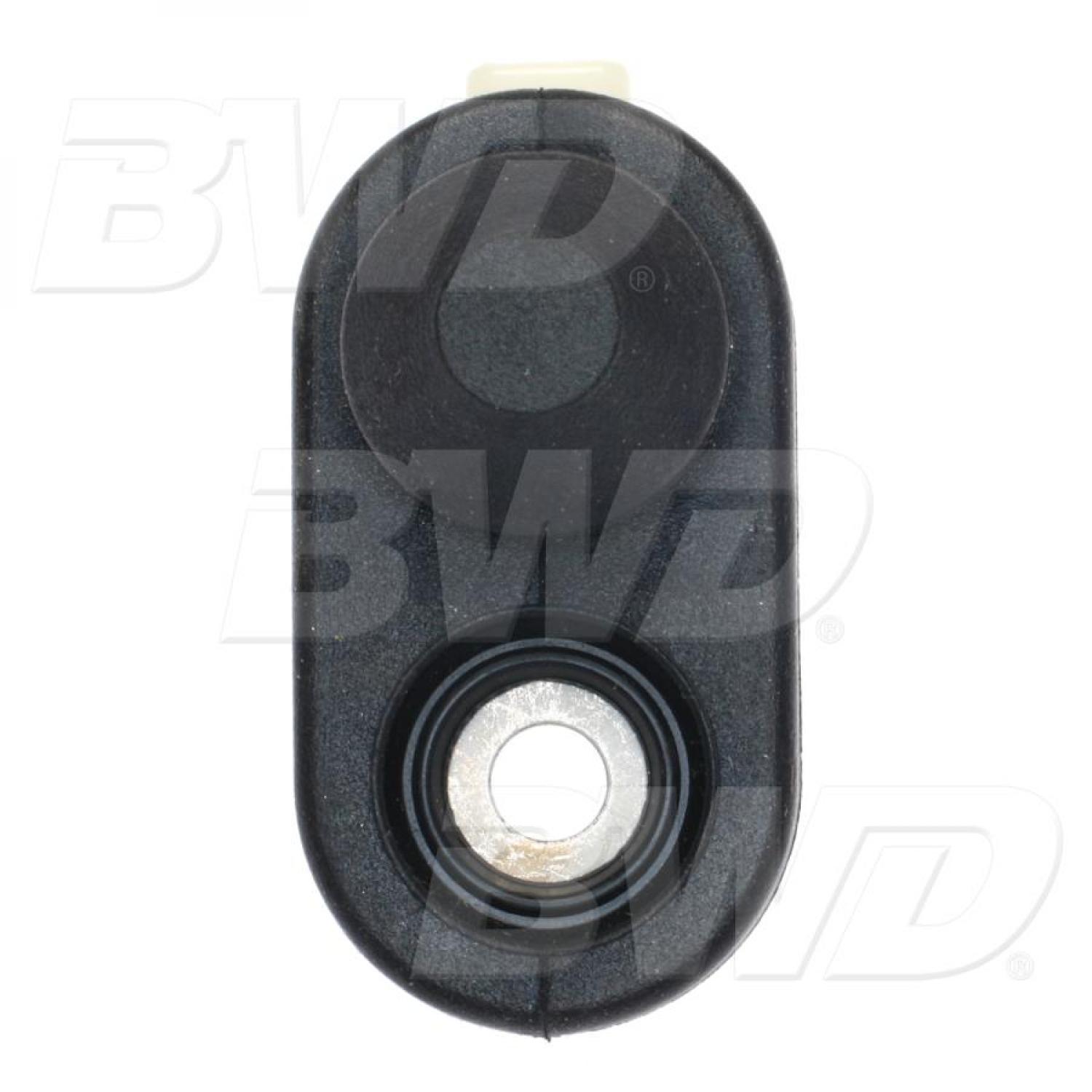 BWD DJS134 - Door Jamb Switch BWD DJS134 Door Jamb Switch product image 1 of 3
