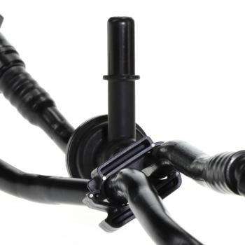 BWD EH029 Vapor Canister Purge Valve Hose product image 2 of 6
