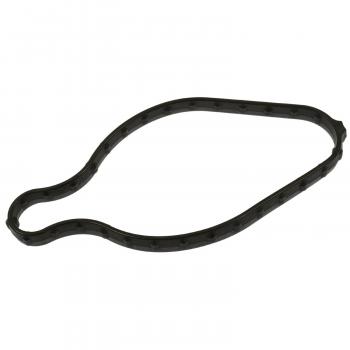 BWD GGD21 - Fuel Pump Mounting Gasket BWD GGD21 Fuel Pump Mounting Gasket product image 1 of 1