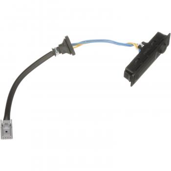 BWD LGS312 Liftgate Release Switch product image 1 of 5