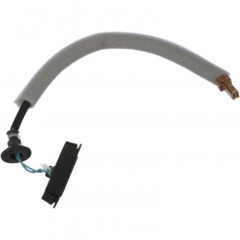 BWD LGS328 Liftgate Release Switch product image 1 of 5