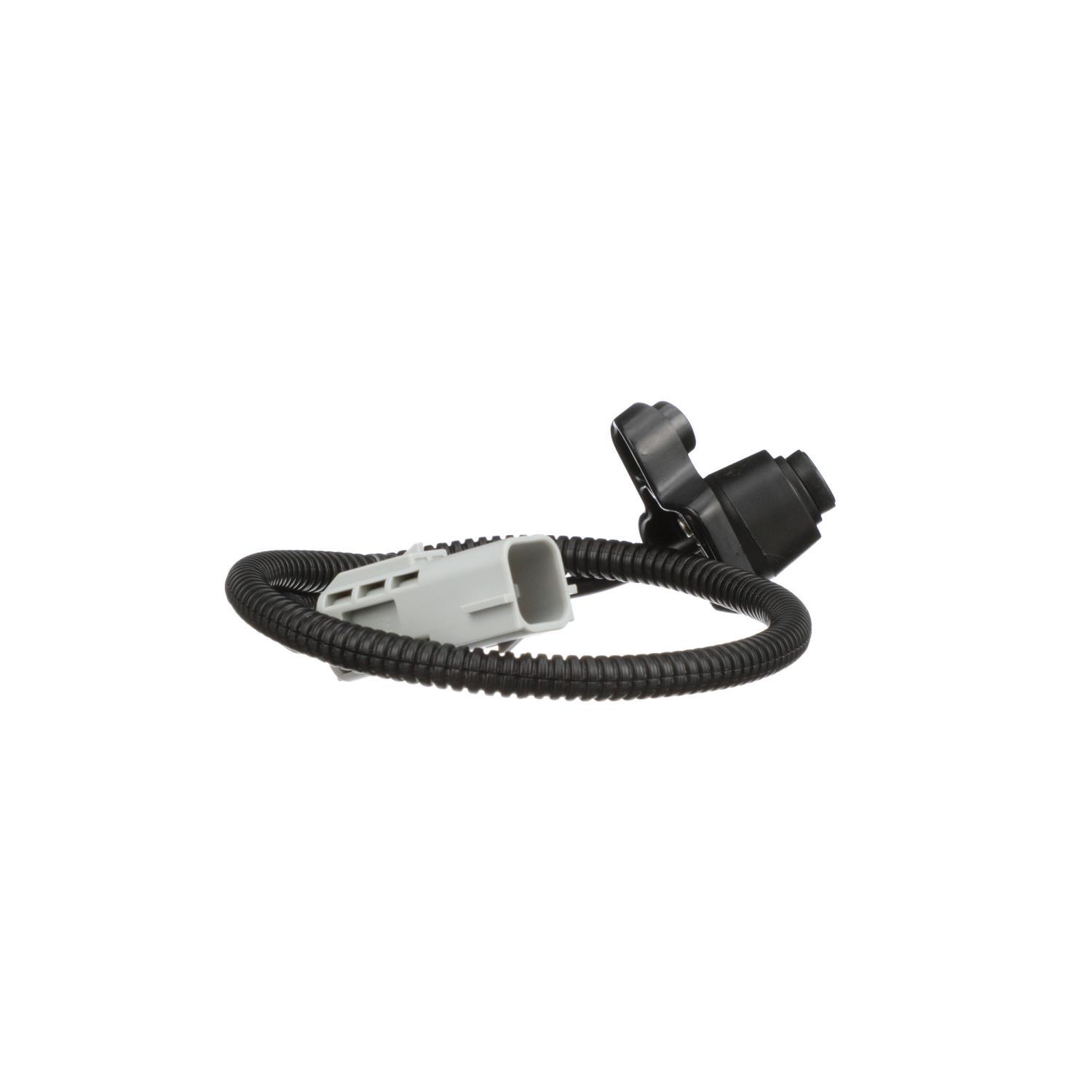 BWD PAN181 Park Assist Camera product image 7 of 8