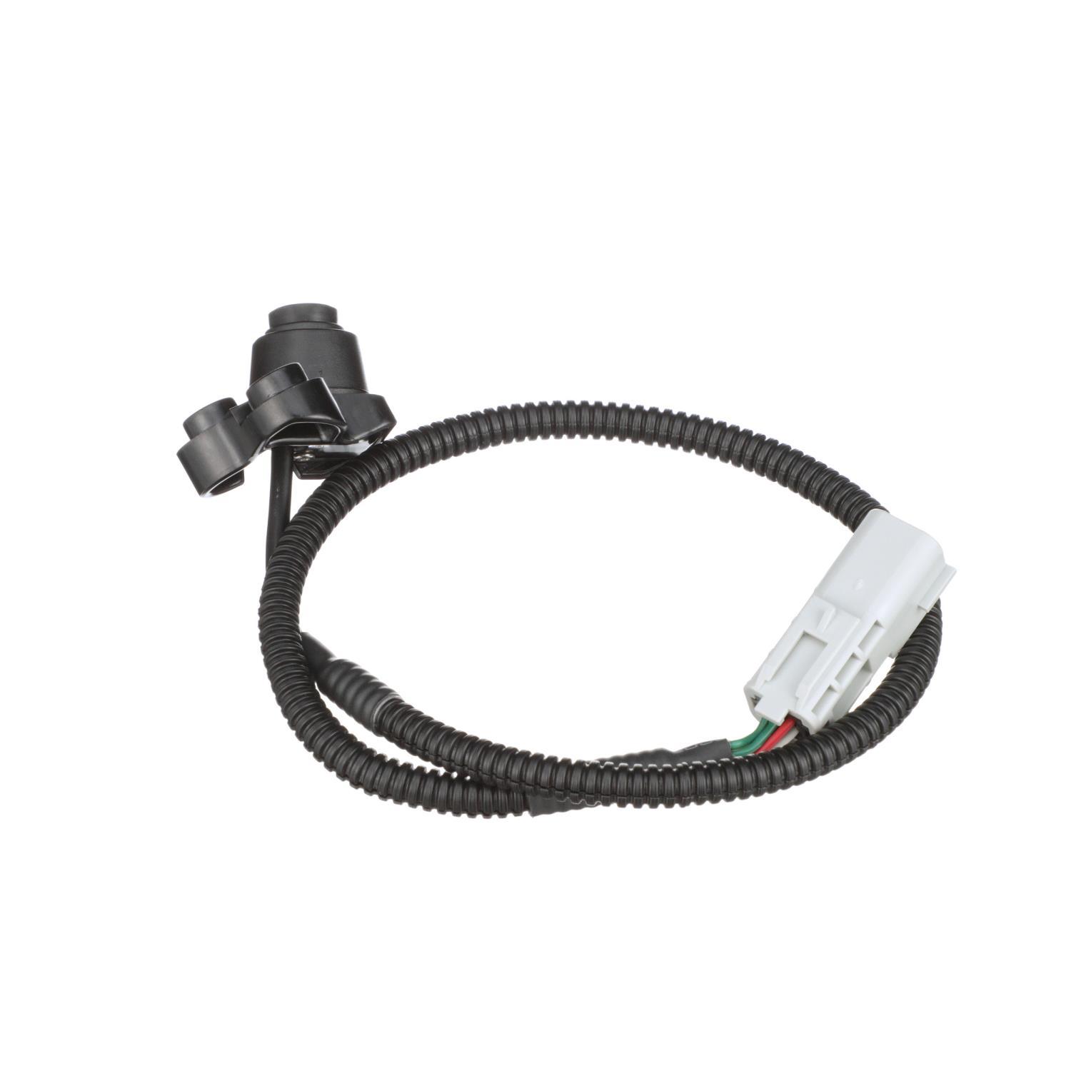 BWD PAN181 Park Assist Camera product image 8 of 8