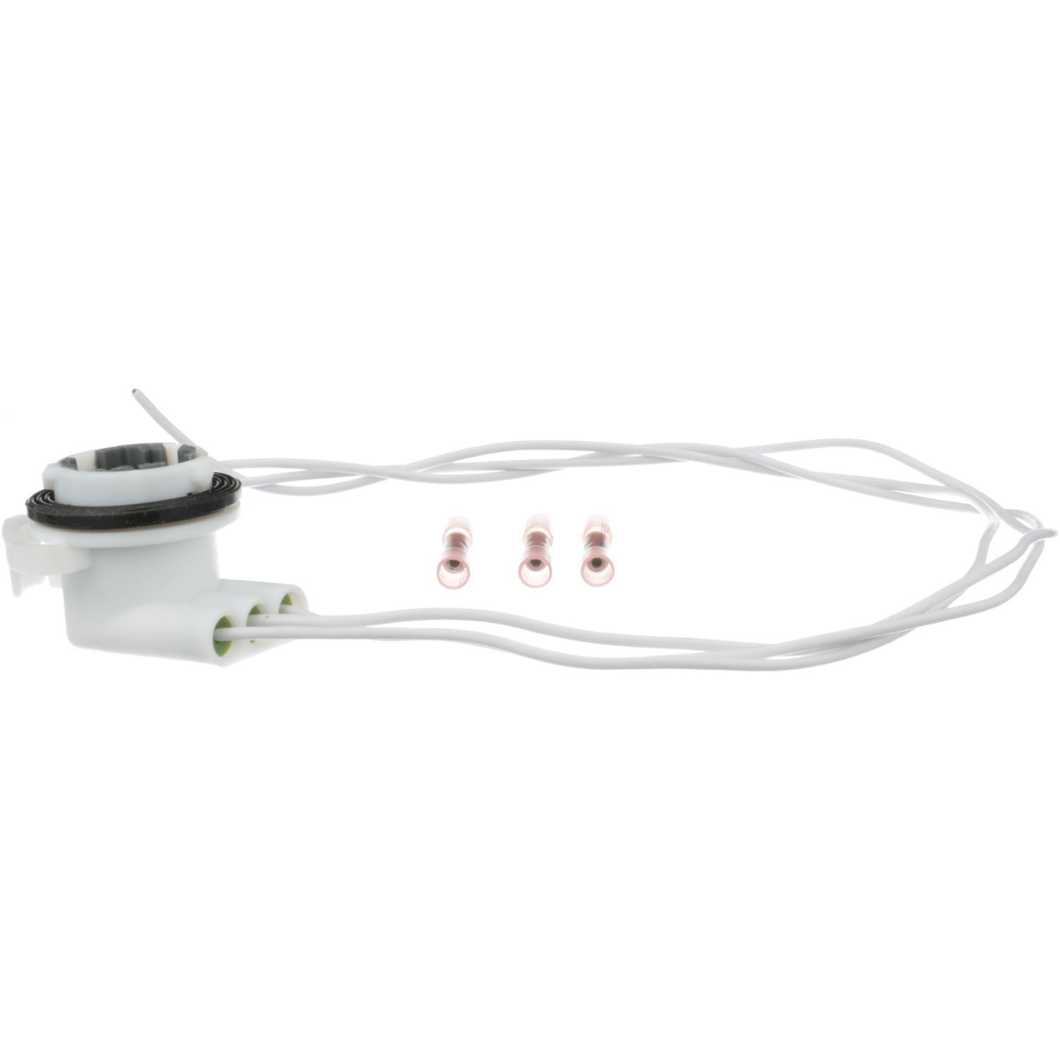 BWD PT1224 - Parking Light Bulb Socket BWD PT1224 Back Up Light Socket product image 6 of 7