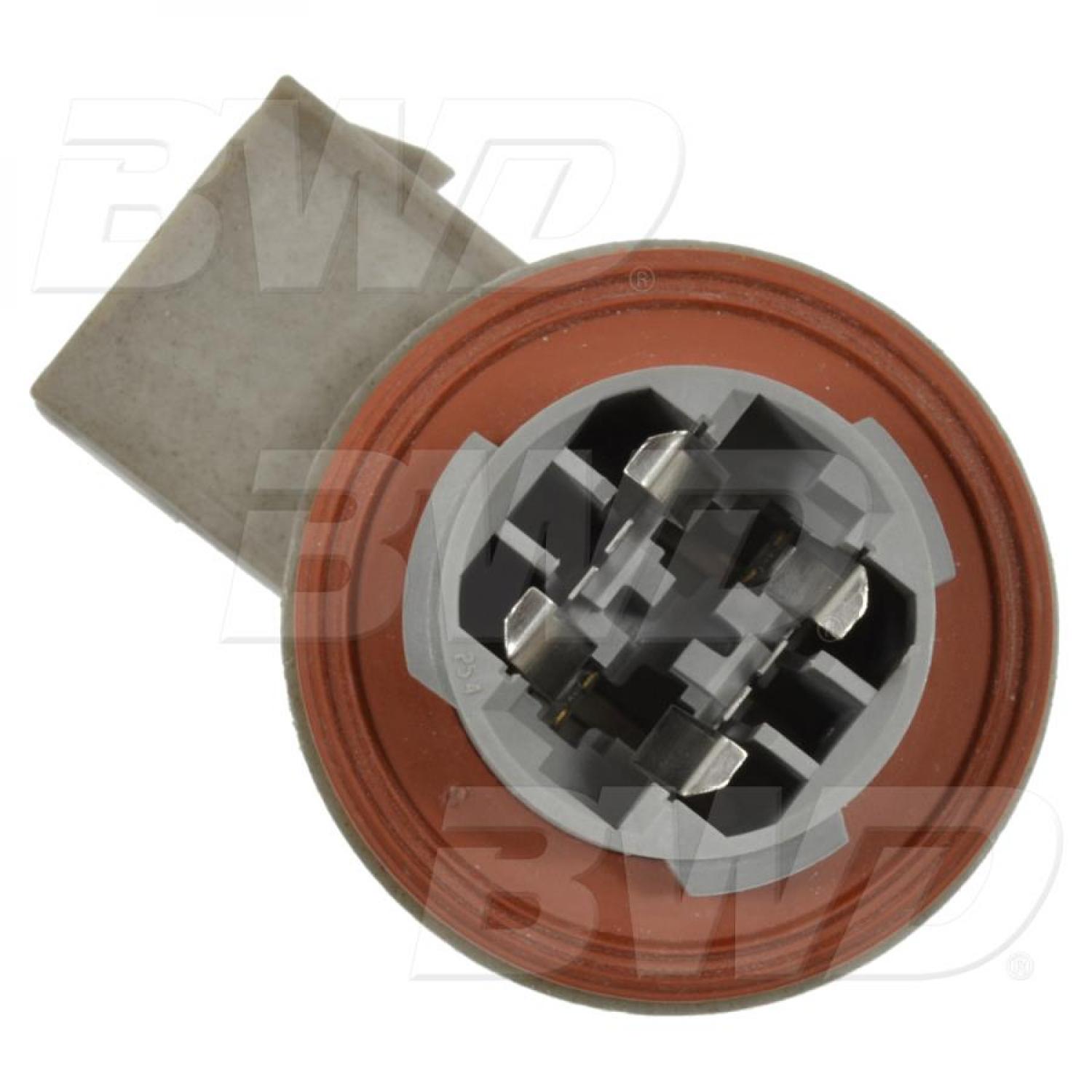 BWD PT2128 Back Up Light Socket product image 1 of 4