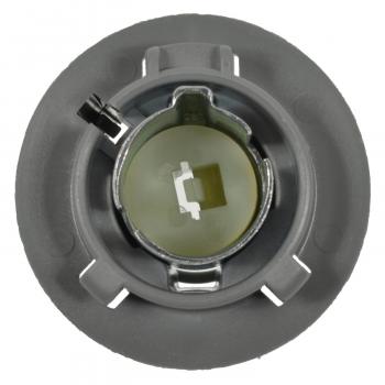 BWD PT2275 Back Up Light Socket product image 1 of 3