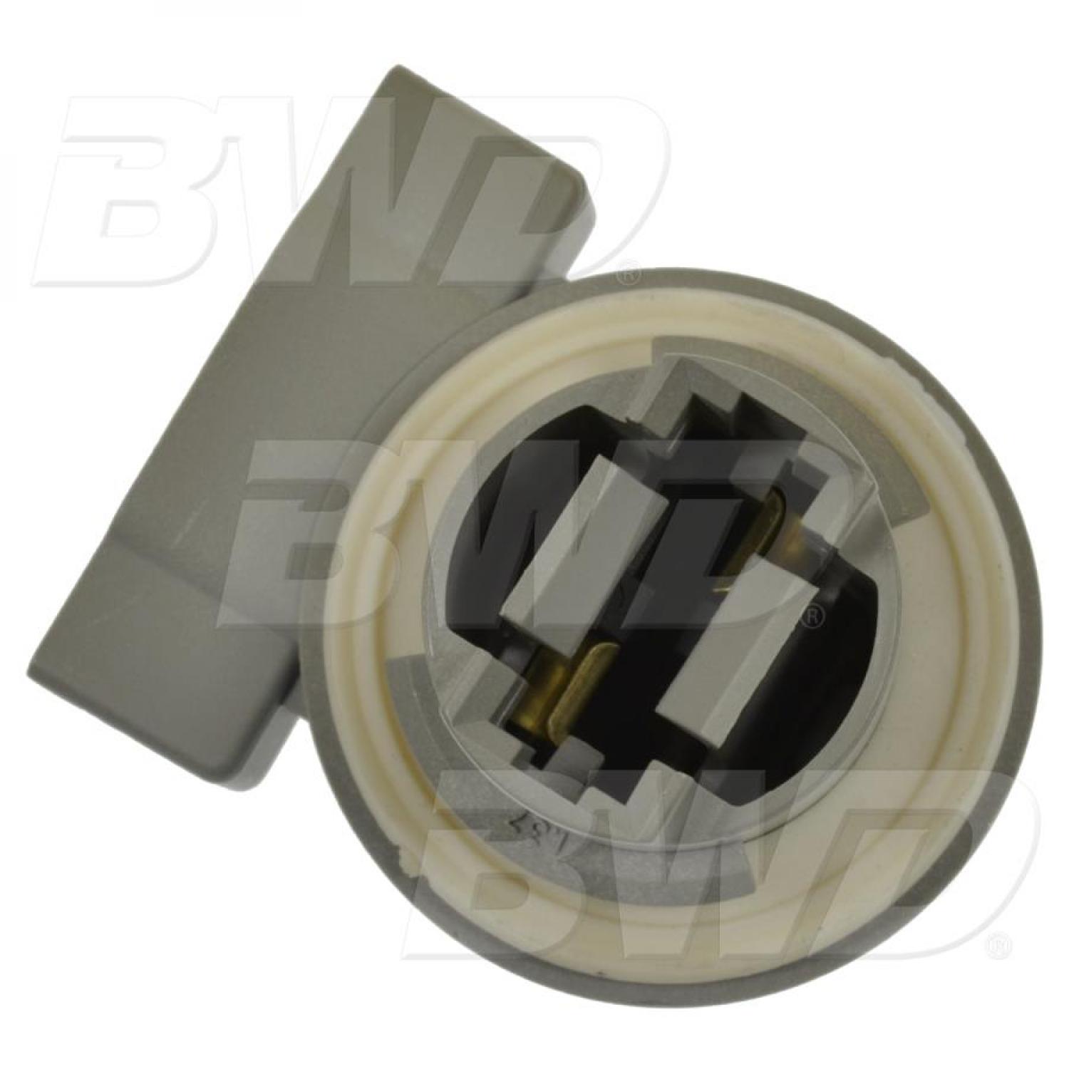 BWD PT2276 Cornering Light Socket product image 1 of 3