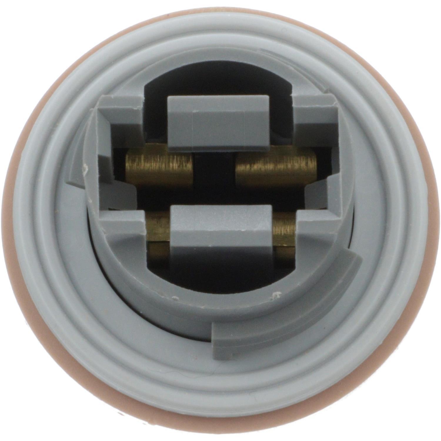 BWD PT2552 - Parking Light Bulb Socket BWD PT2552 Parking Light Bulb Socket product image 2 of 11