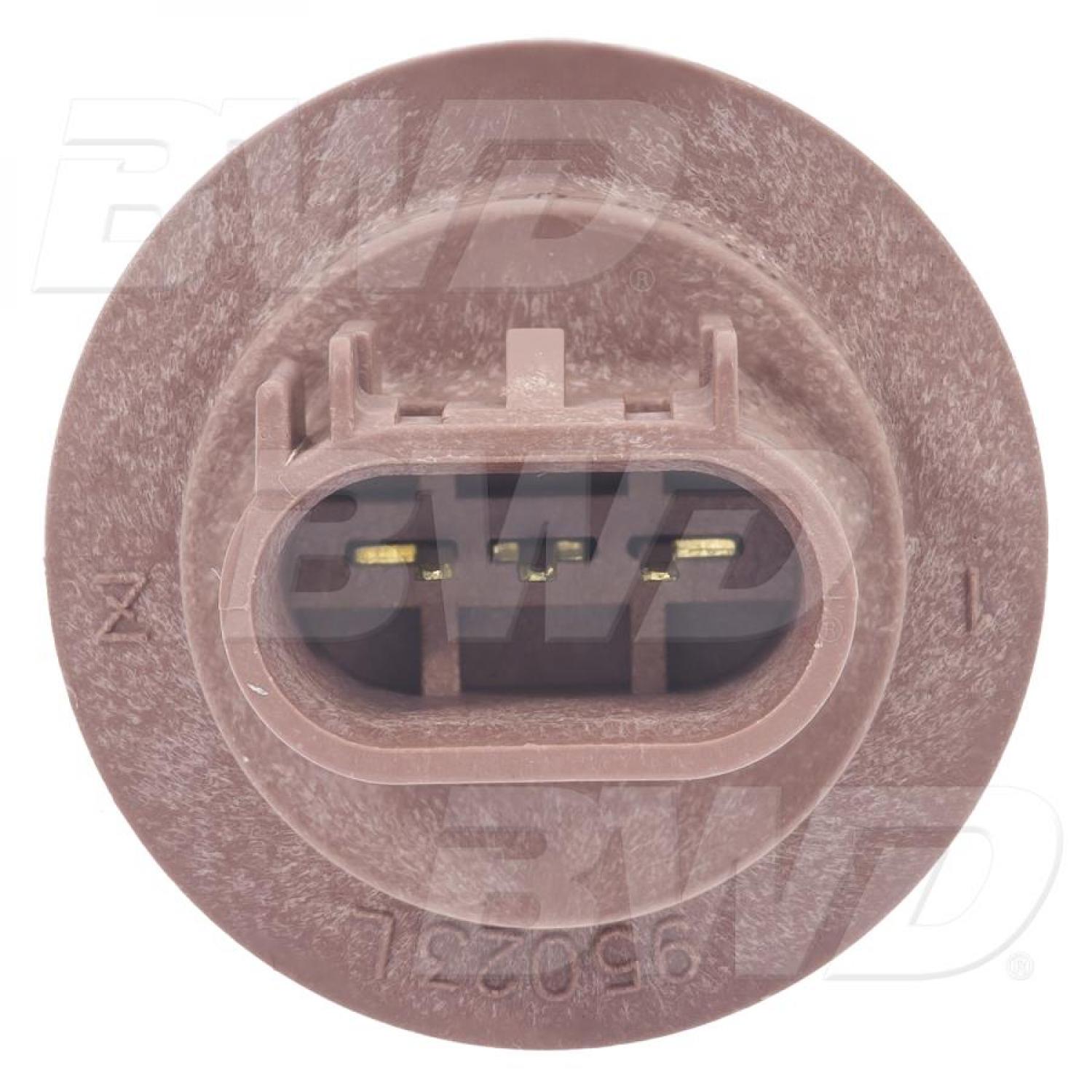 BWD PT2552 - Parking Light Bulb Socket BWD PT2552 Parking Light Bulb Socket product image 7 of 11