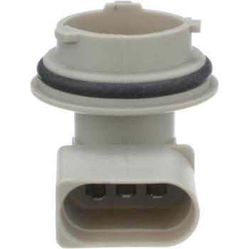 BWD PT2565 Brake Light Socket product image 2 of 11