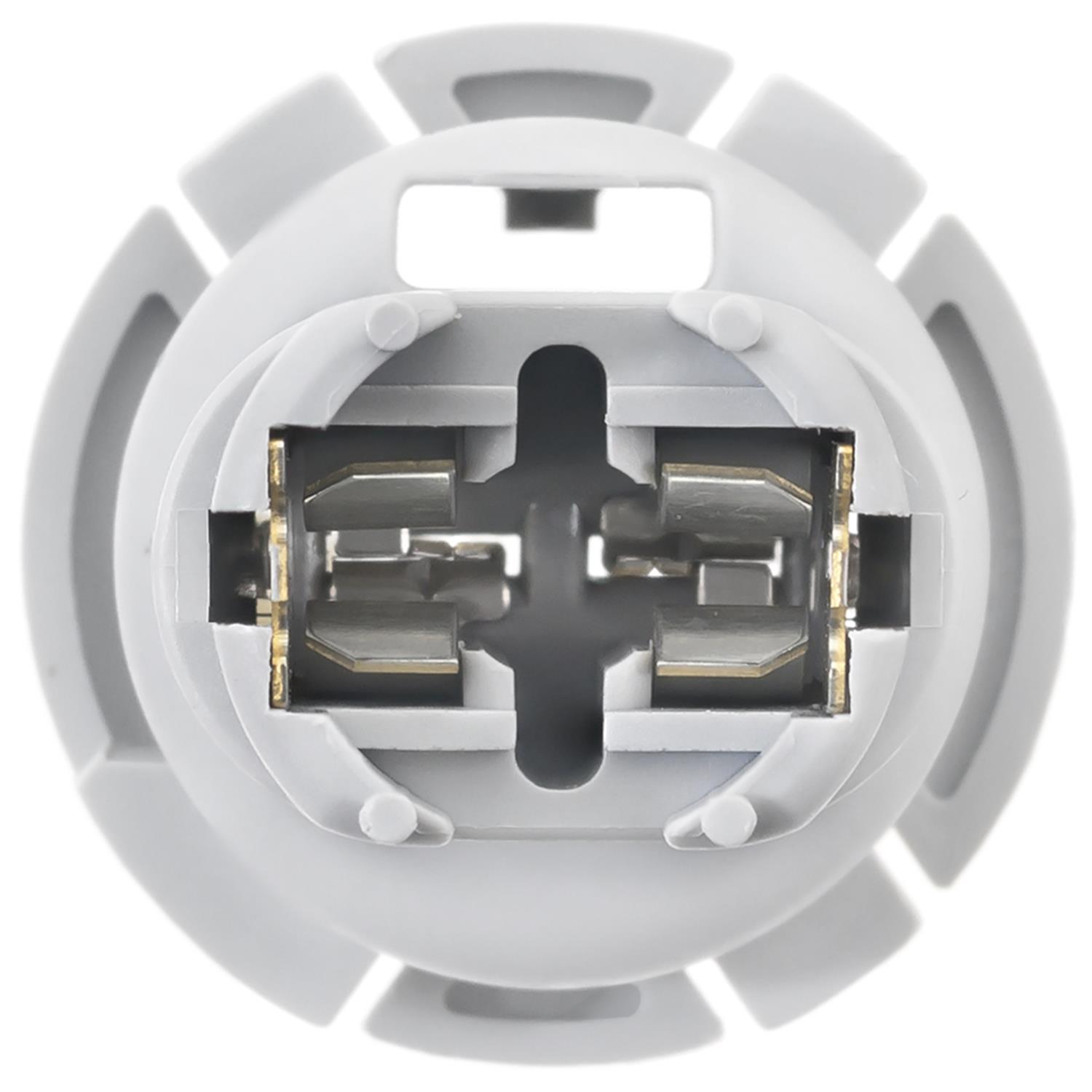 BWD PT2599 - Back Up Light Socket BWD PT2599 Back Up Light Socket product image 2 of 4