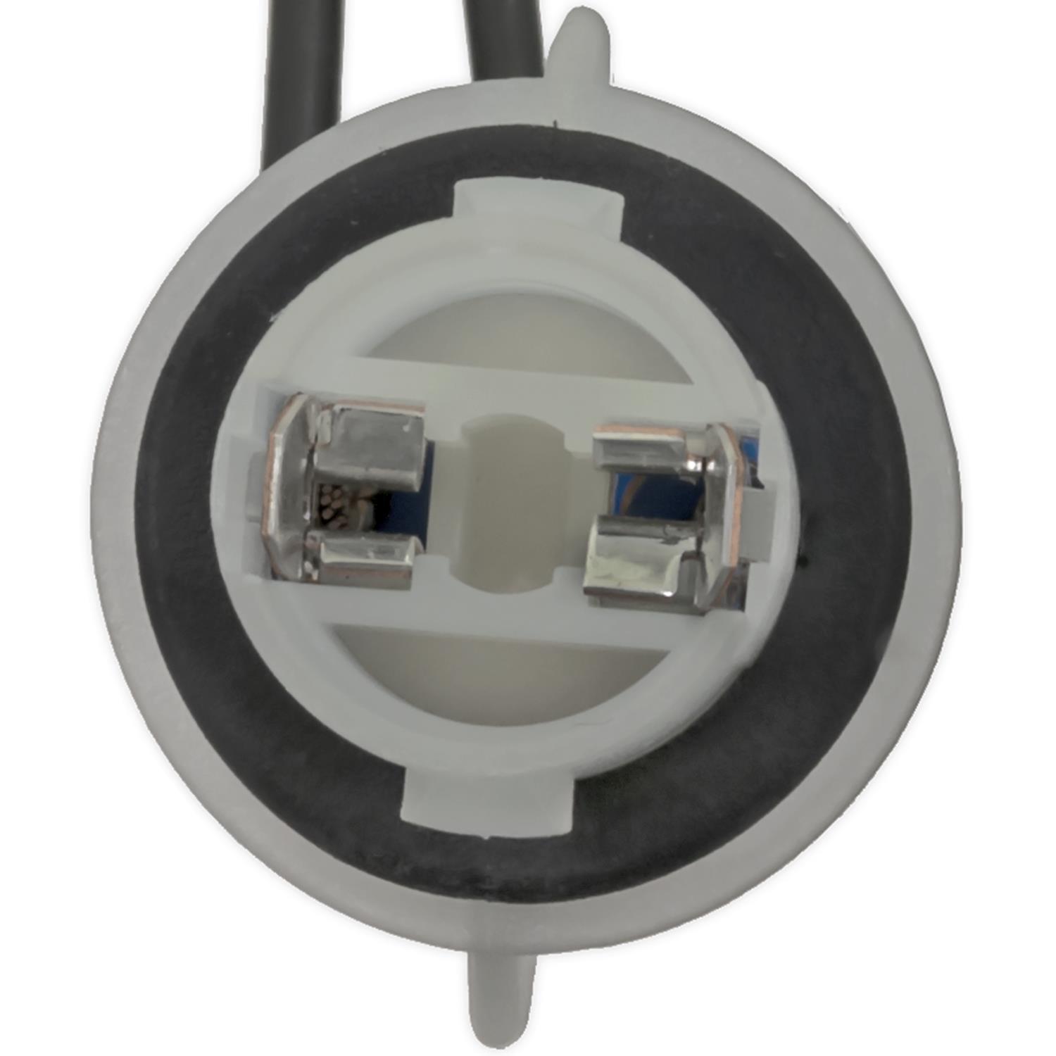 BWD PT3803 License Lamp Socket product image 1 of 4