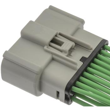BWD PT3806 - Body Wiring Harness Connector BWD PT3806 Body Wiring Harness Connector product image 2 of 4
