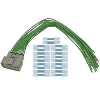 BWD PT3806 - Body Wiring Harness Connector BWD PT3806 Body Wiring Harness Connector product image 3 of 4
