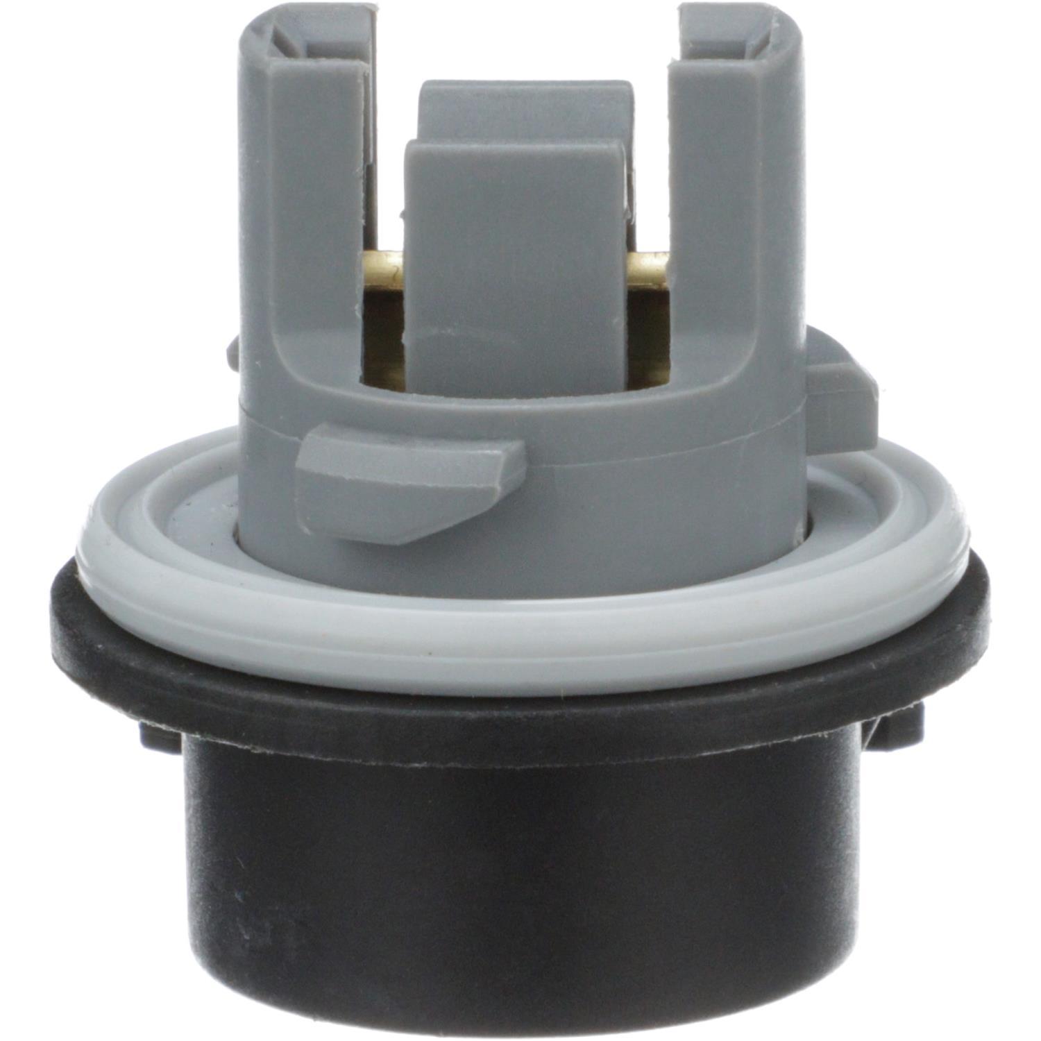 BWD PT5596 - Tail Lamp Socket BWD PT5596 Back Up Light Socket product image 8 of 8