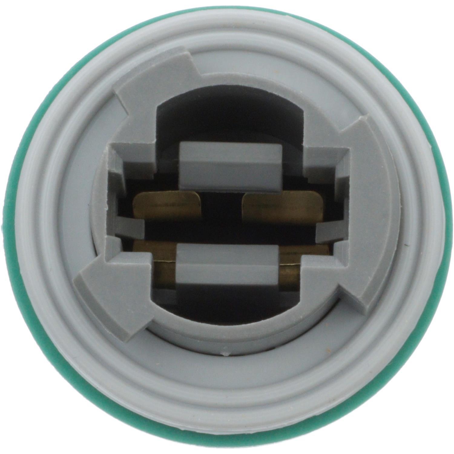 BWD PT5741 - Parking Light Bulb Socket BWD PT5741 Back Up Light Socket product image 7 of 8